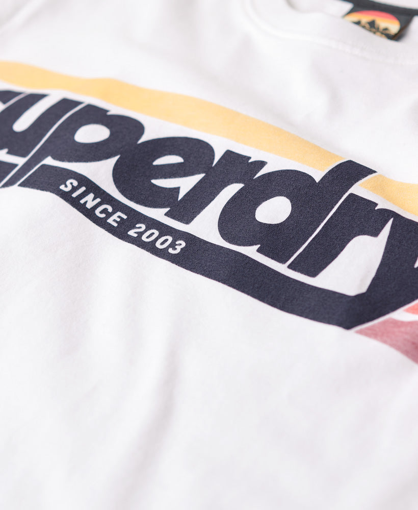 Terrain Striped Logo T-Shirt - Optic - Superdry Singapore