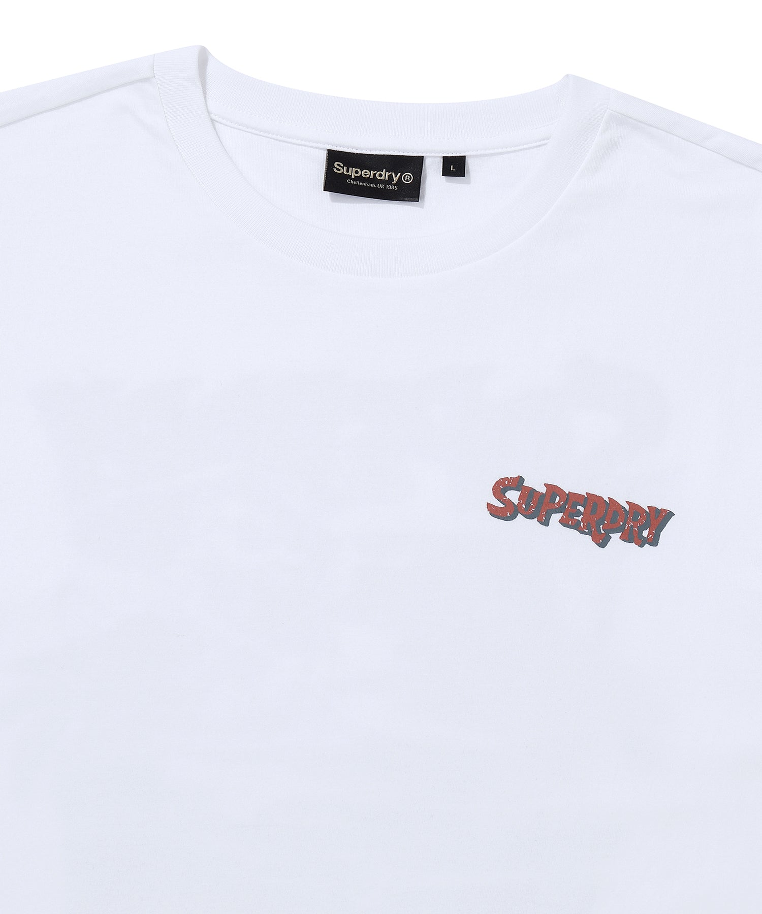 Skating T-Shirt - Superdry Singapore