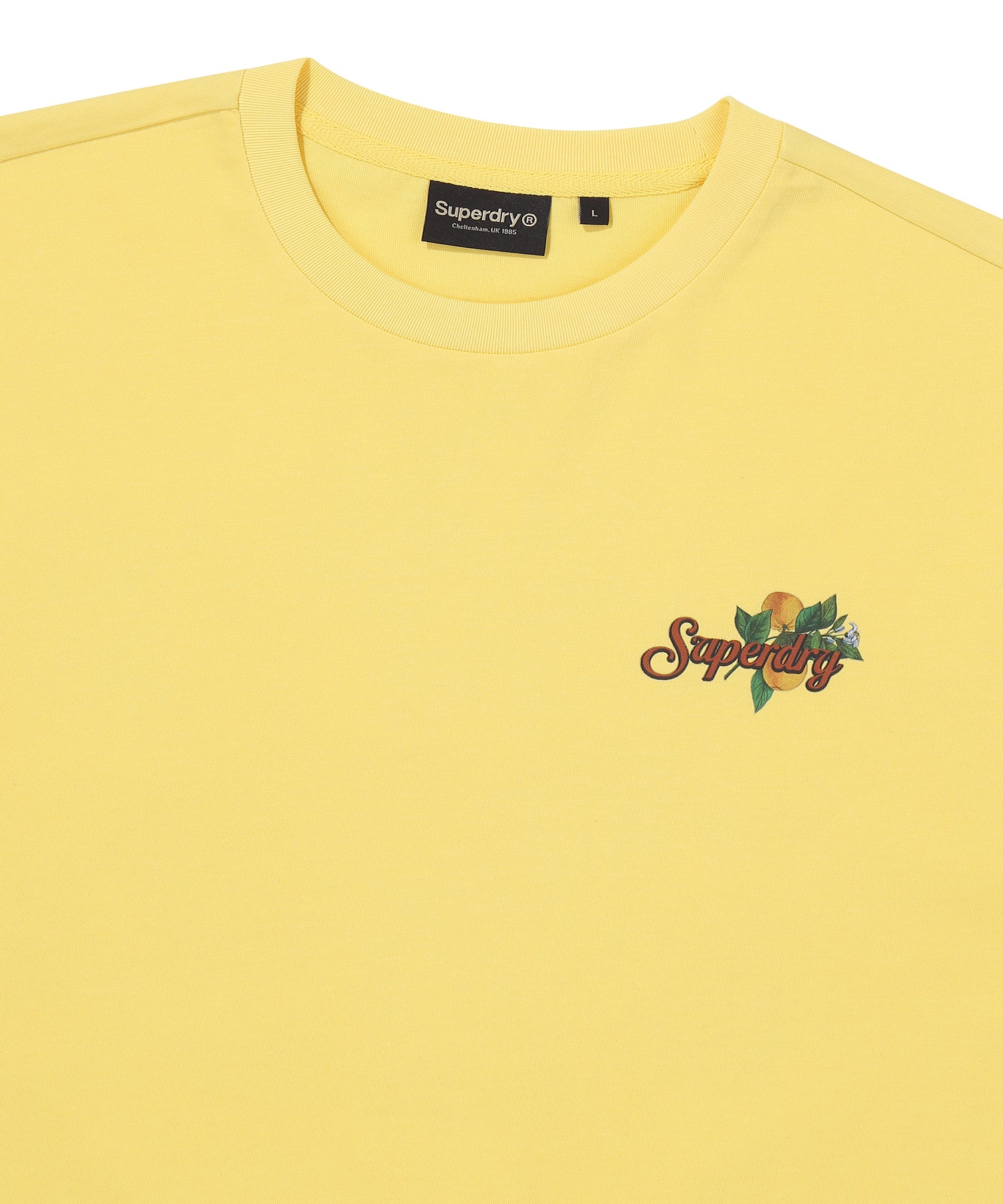 Rich Farmer Fruit T-Shirt - Superdry Singapore