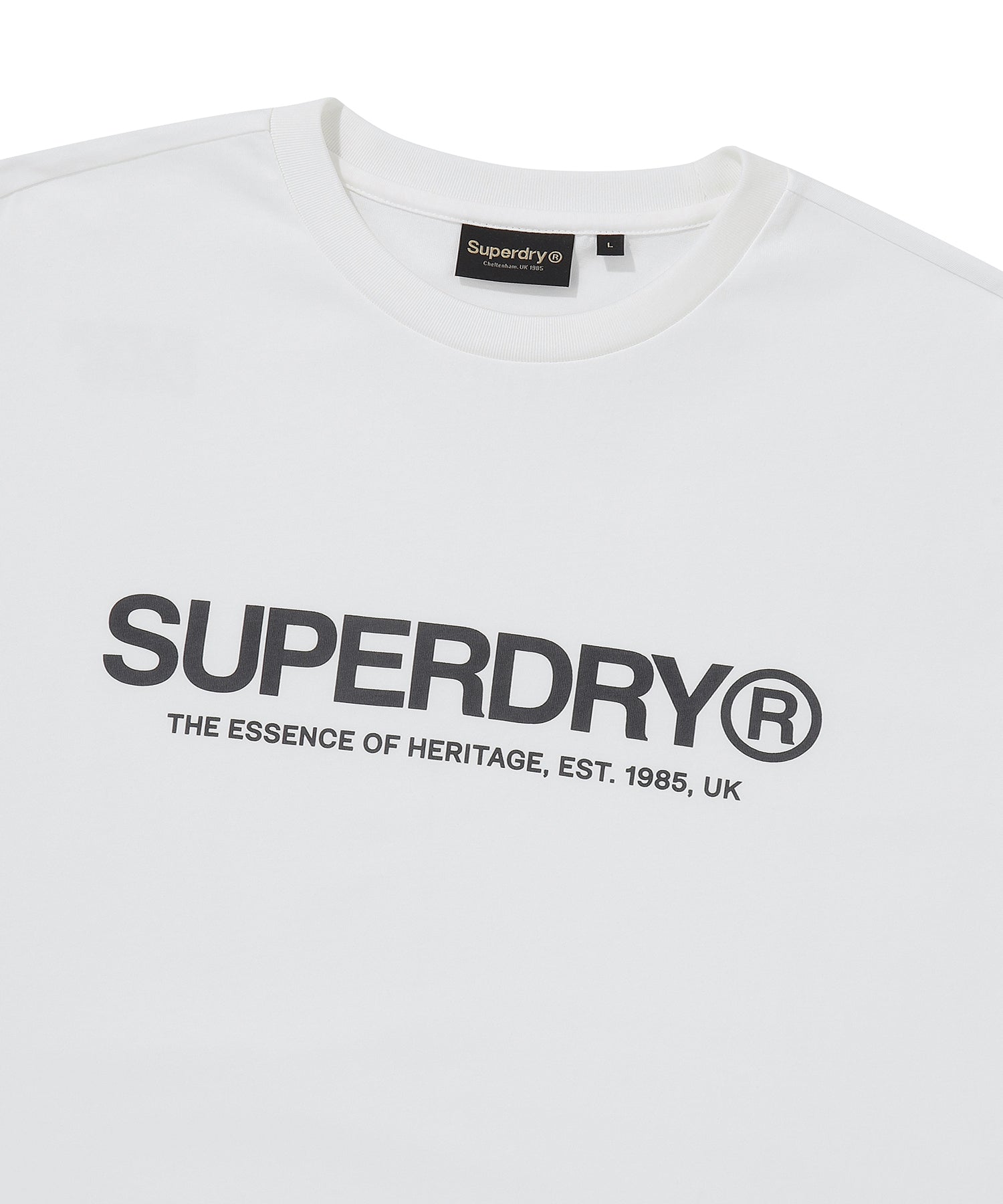 Core Logo T-Shirt - Superdry Singapore