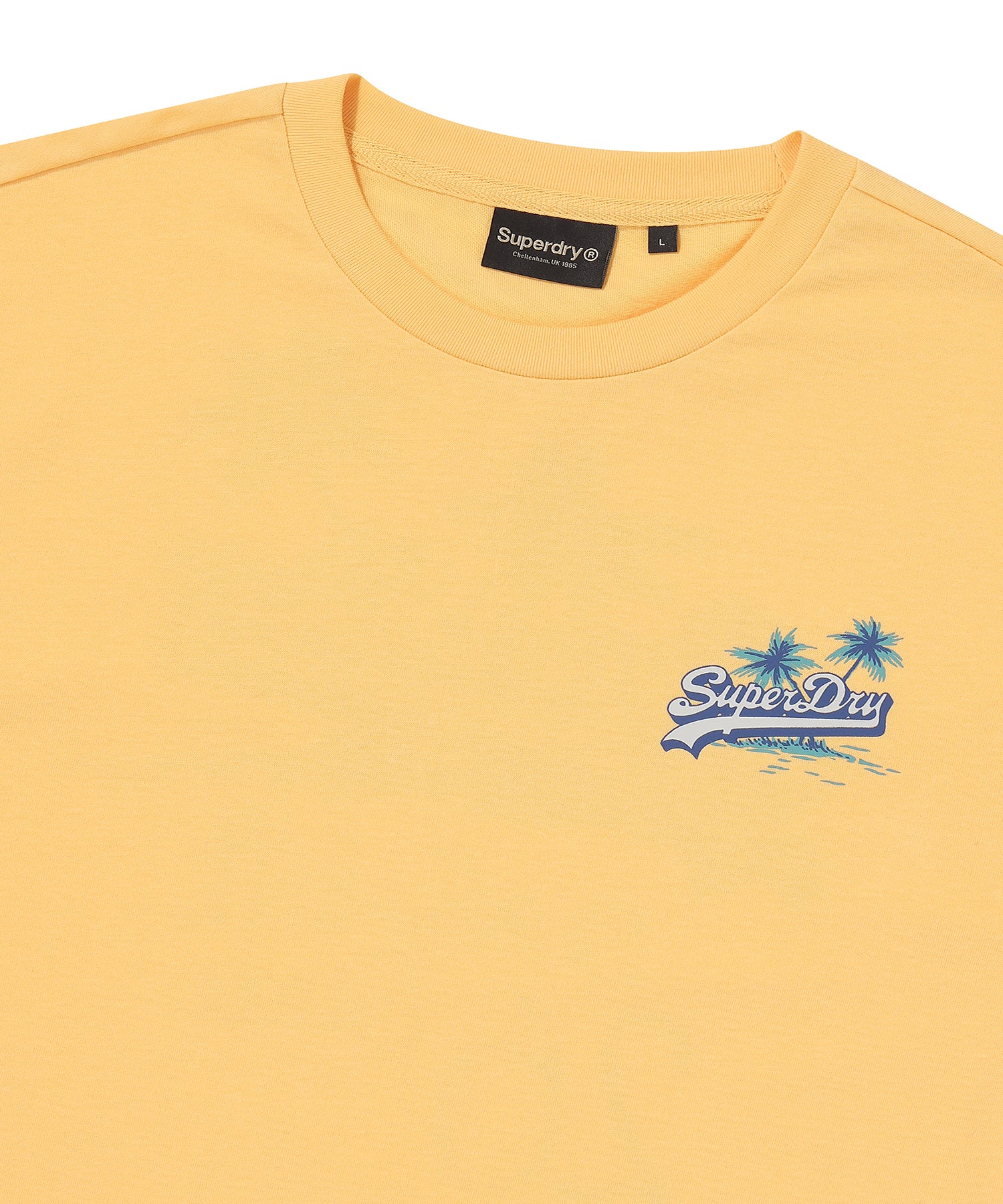 Tropical Graphic T-Shirt - Superdry Singapore