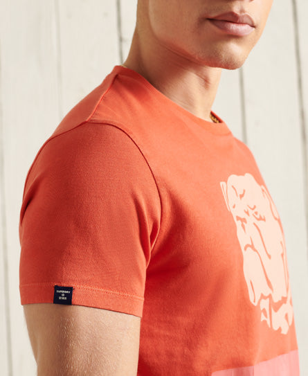 Overdye Collegiate State T-Shirt - Orange - Superdry Singapore