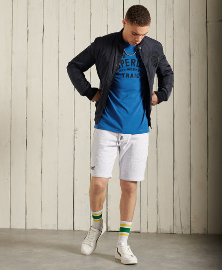 Heritage Mountain Relax T-Shirt - Blue - Superdry Singapore