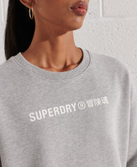 Cooperate Logo Crew Sweatshirt - Grey - Superdry Singapore
