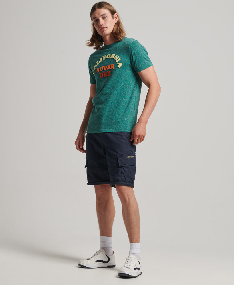 Great Outdoors Applique T-Shirt - Turquoise Snowy - Superdry Singapore