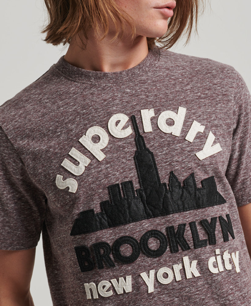 Great Outdoors Applique T-Shirt - Nathan Brown Snowy - Superdry Singapore