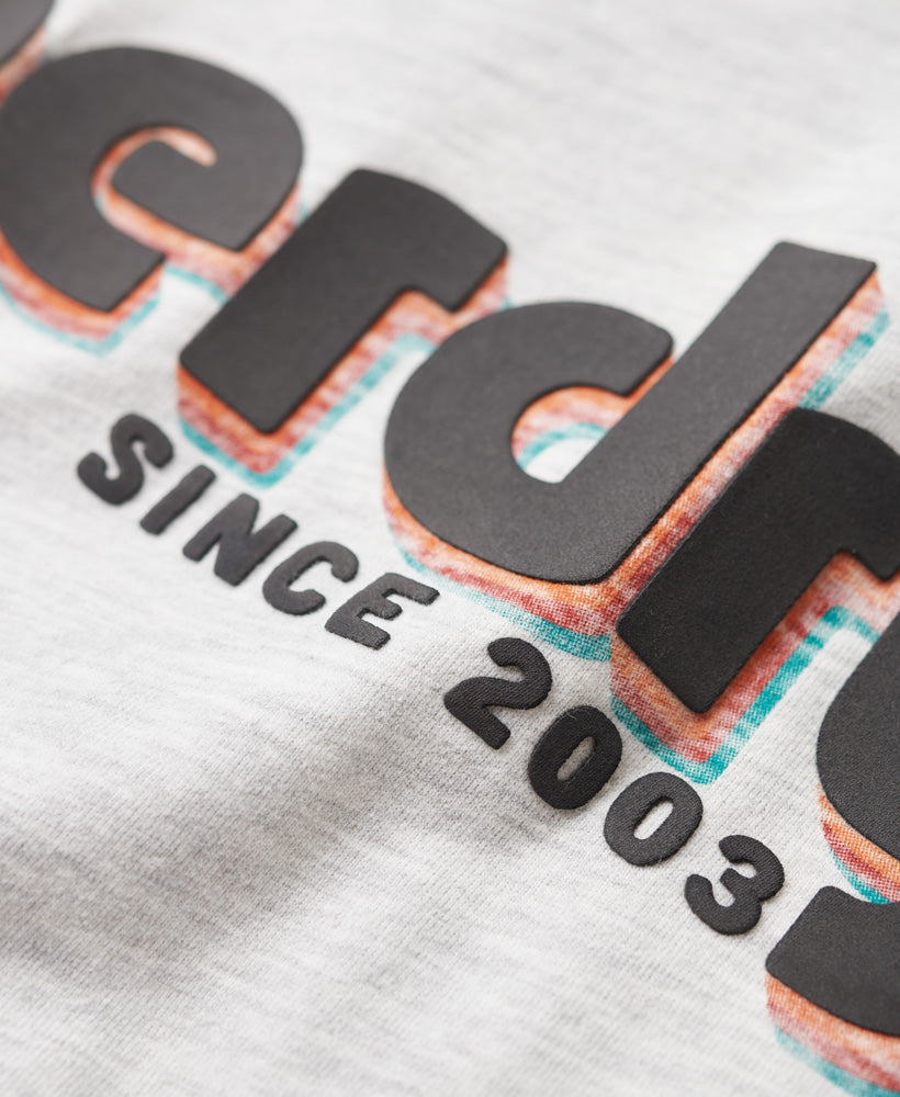 Terrain Logo Print Relaxed Fit T-Shirt - Glacier Grey Marl - Superdry Singapore